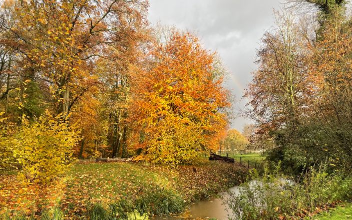 Eenvoud van Wandelen in de natuur