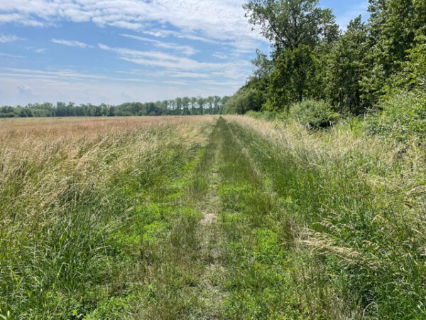 pad in wandelcoaching