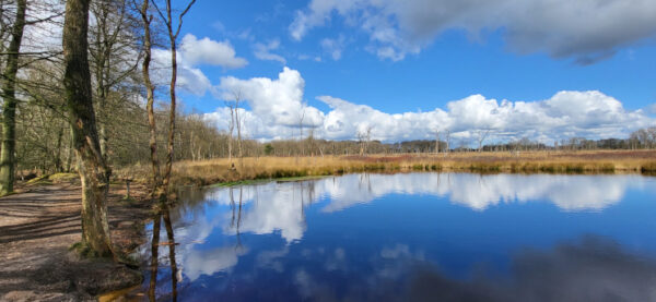 Wandelcoach de leukste baan Arjan Bunt Wandelcoach de leukste baan Arjan Bunt