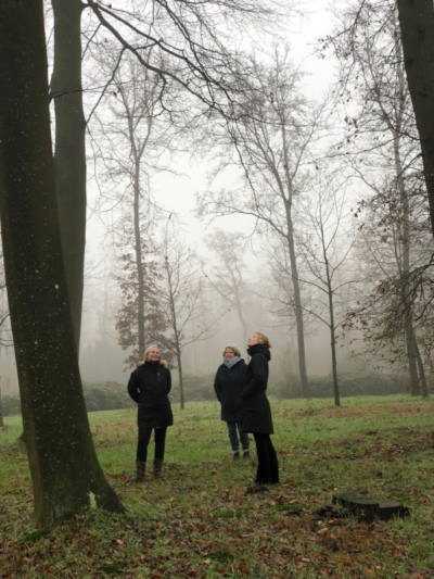 Wandelcoach Opleiding Deventer in mist