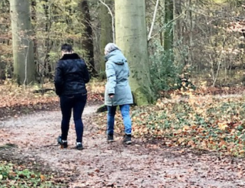De psychologie van wandelen (+ NIEUW Wandelcoach Opleiding in Drenthe!)