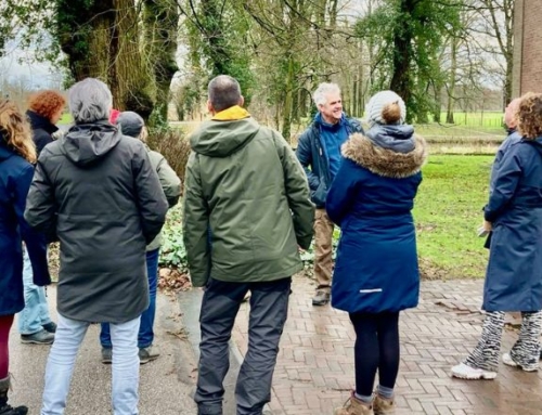 Berk, beuk, linde: Wat leren we van bomen?