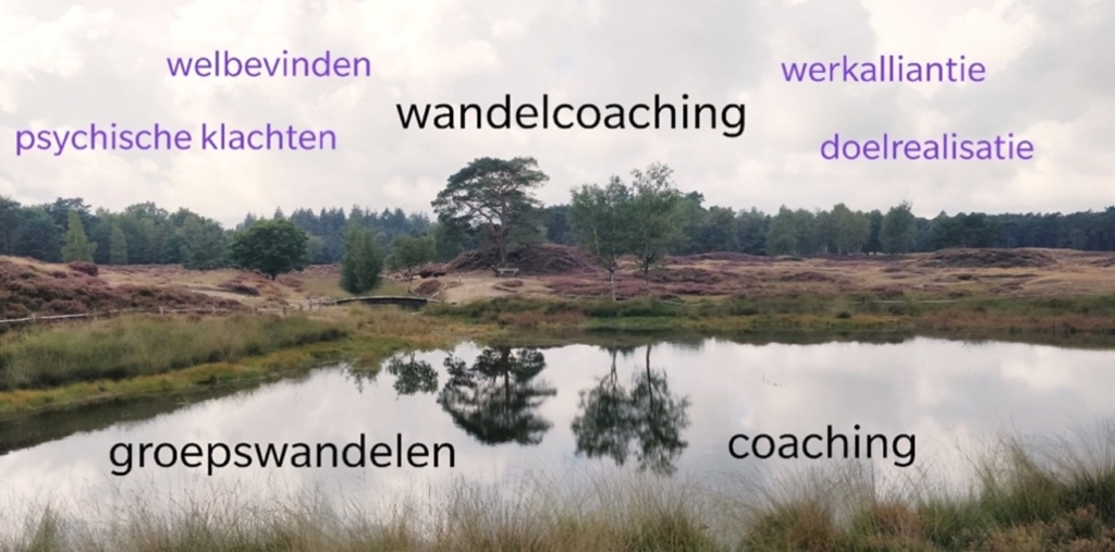 Nieuwste wandelcoach onderzoek