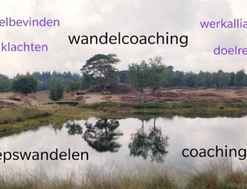 Nieuwste Wandelcoachonderzoek! Coaching met de kracht van de natuur