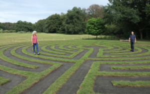 Werkveld van een coach: de psychologen praktijk