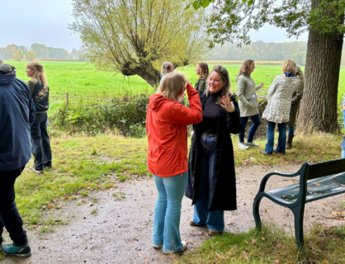 Wandelcoachen in de GGZ