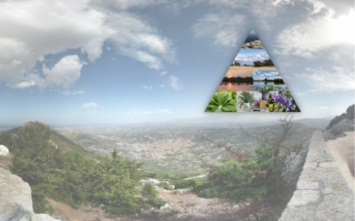 Natuurpiramide