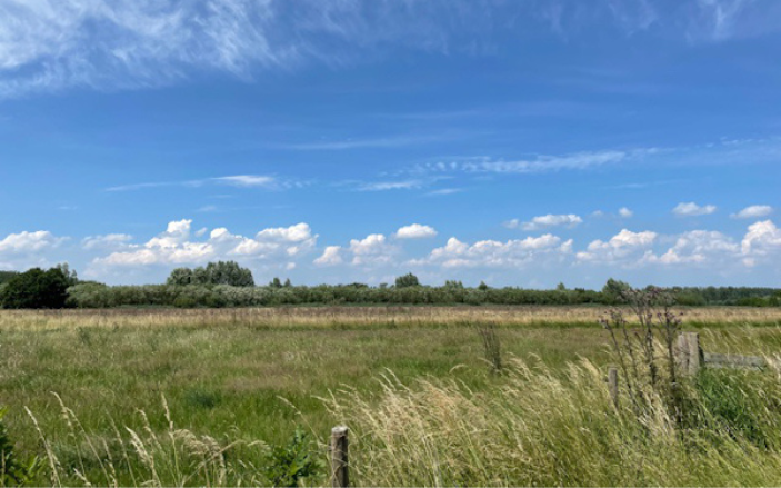 Wandelen is het nieuwe mediteren