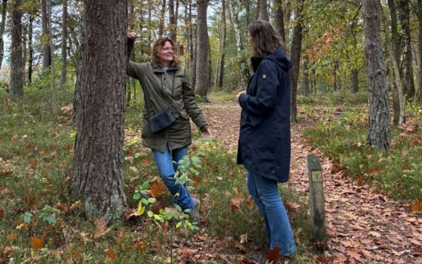 Groepscoaching in de Natuur