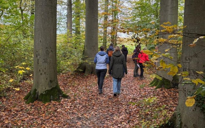 Hoe-goede-wandelcoach