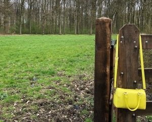 Coach: wanneer verwijs je je coach door naar een behandelaar?