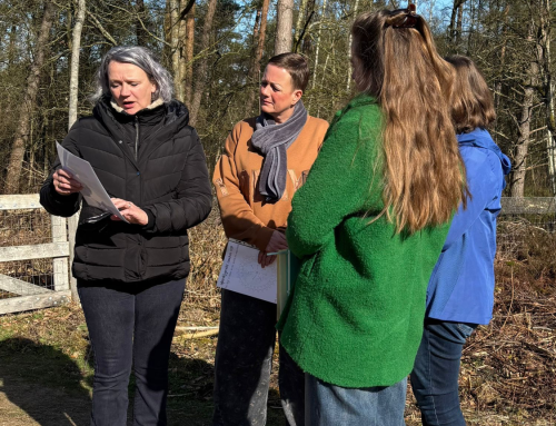 Groepscoaching Oefeningen in de Natuur. Doe er je voordeel mee!