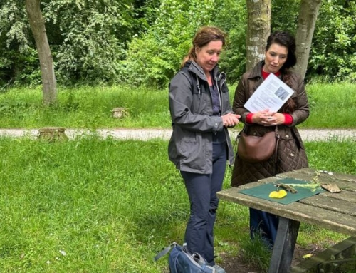 Werkt wandelcoaching beter dan binnencoaching?