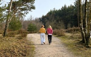 Wat werkt beter, Wandelcoachen of binnencoachen?