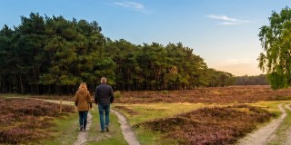 De Loopbaancoach Opleiding