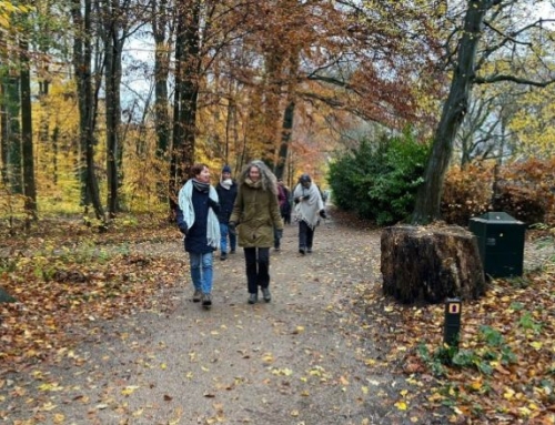 ACT-coaching: Hoe werk je als coach met ACT?