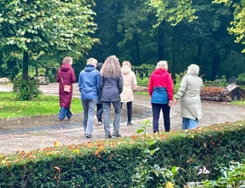 Perfectionisme-Coaching: Hoe doe je dat? 7 vragen voor coaches (met oefeningen in de natuur)